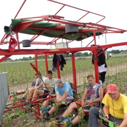 Praktyczna nauka zawodu w naszej szkole