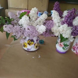 zdjęcie_4339