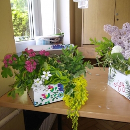 zdjęcie_4343