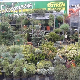 Sprawozdanie z wycieczki do Kielc na targi  DOM oraz OGRÓD i TY