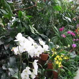 WYCIECZKA UCZNIÓW ARCHITEKTURY KRAJOBRAZU DO ŁAŃCUTA