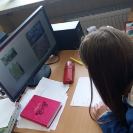 Najlepszy Architekt Krajobrazu