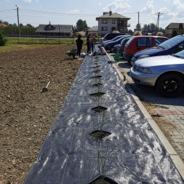 zdjęcie_7212