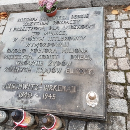 zdjęcie_7667