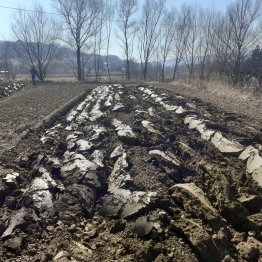 zdjęcie_7975