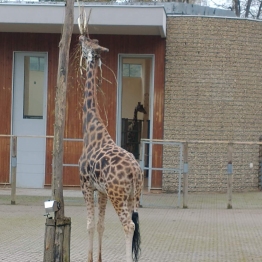 zdjęcie_8160