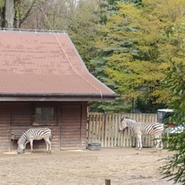 zdjęcie_8163