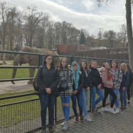 zdjęcie_8166