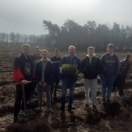 AKCJA SADZENIA LASU W POWIECIE DĘBICKIM W 2023 ROKU