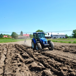 zdjęcie_9655