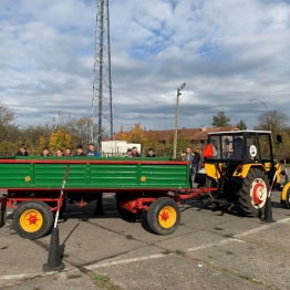 zdjęcie_10223