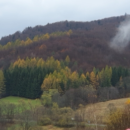 zdjęcie_10349