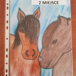 zdjęcie_10785