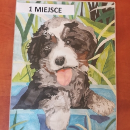 zdjęcie_10788