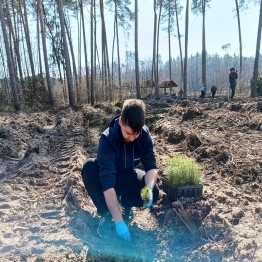 zdjęcie_10884