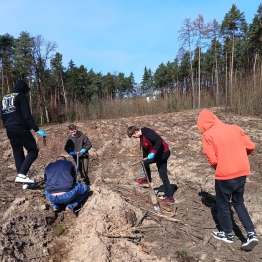 zdjęcie_10885