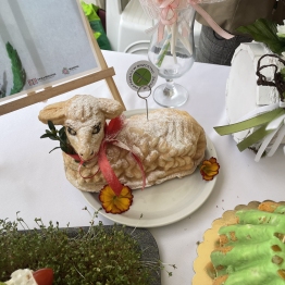zdjęcie_10895
