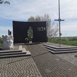 zdjęcie_10917