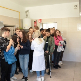 zdjęcie_11117