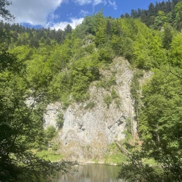 zdjęcie_11195