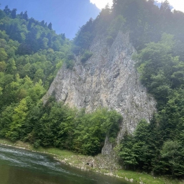 zdjęcie_11198