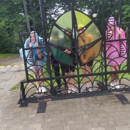 zdjęcie_11366