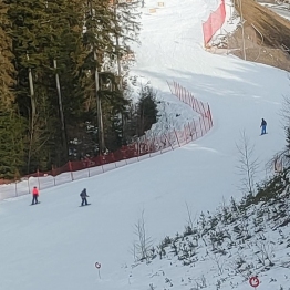 zdjęcie_12492