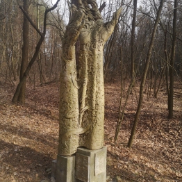 zdjęcie_12517