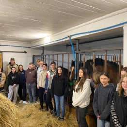 Zajęcia praktyczne w Stajni Pruchnik