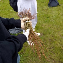 III ETAP PROJEKTU PROGRAMU OCALIMY ŚWIAT