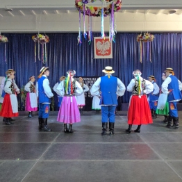 zdjęcie_13046