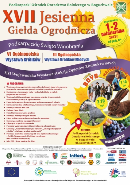 zdjęcie_8470