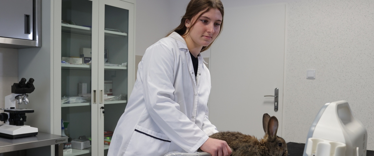 Zdjęcie - Slider Zespół Szkół CKR im. Jana Pawła II w Brzostku