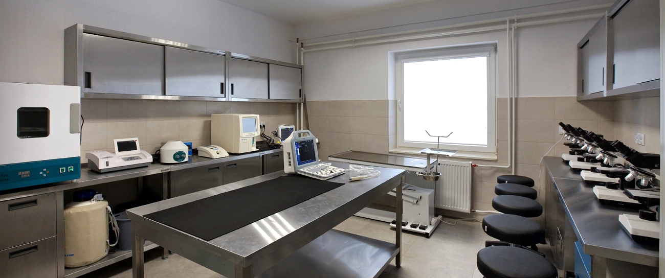 Zdjęcie - Slider Zespół Szkół CKR im. Jana Pawła II w Brzostku