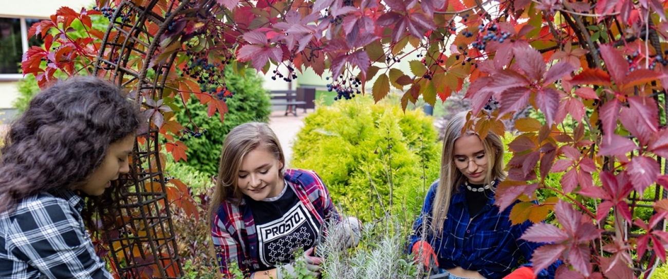 Zdjęcie - Slider Zespół Szkół CKR im. Jana Pawła II w Brzostku