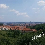 zdjęcie_3578