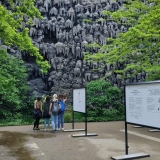 zdjęcie_3596