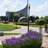 zdjęcie_3885