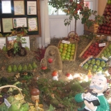 zdjęcie_4767