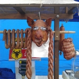 zdjęcie_5330