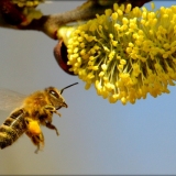 zdjęcie_5464