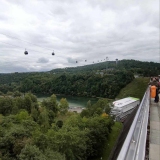 zdjęcie_10017