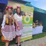 zdjęcie_10165