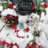 zdjęcie_10470