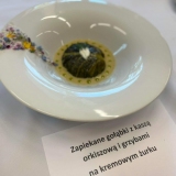 zdjęcie_11272
