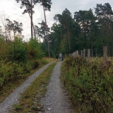 zdjęcie_11546