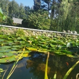 zdjęcie_11574