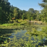 zdjęcie_11580