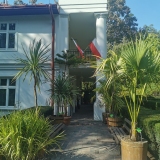 zdjęcie_11594