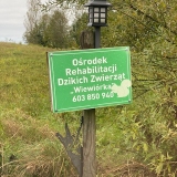 zdjęcie_11687